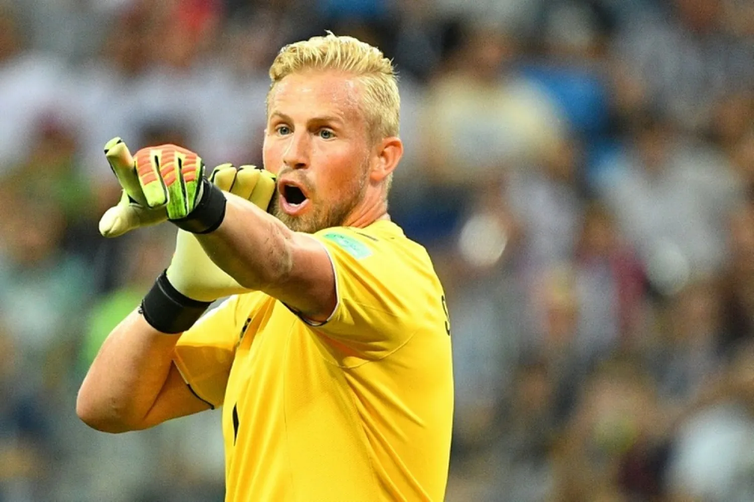 Denmark goalkeeper Kasper Schmeichel. (AFP)
