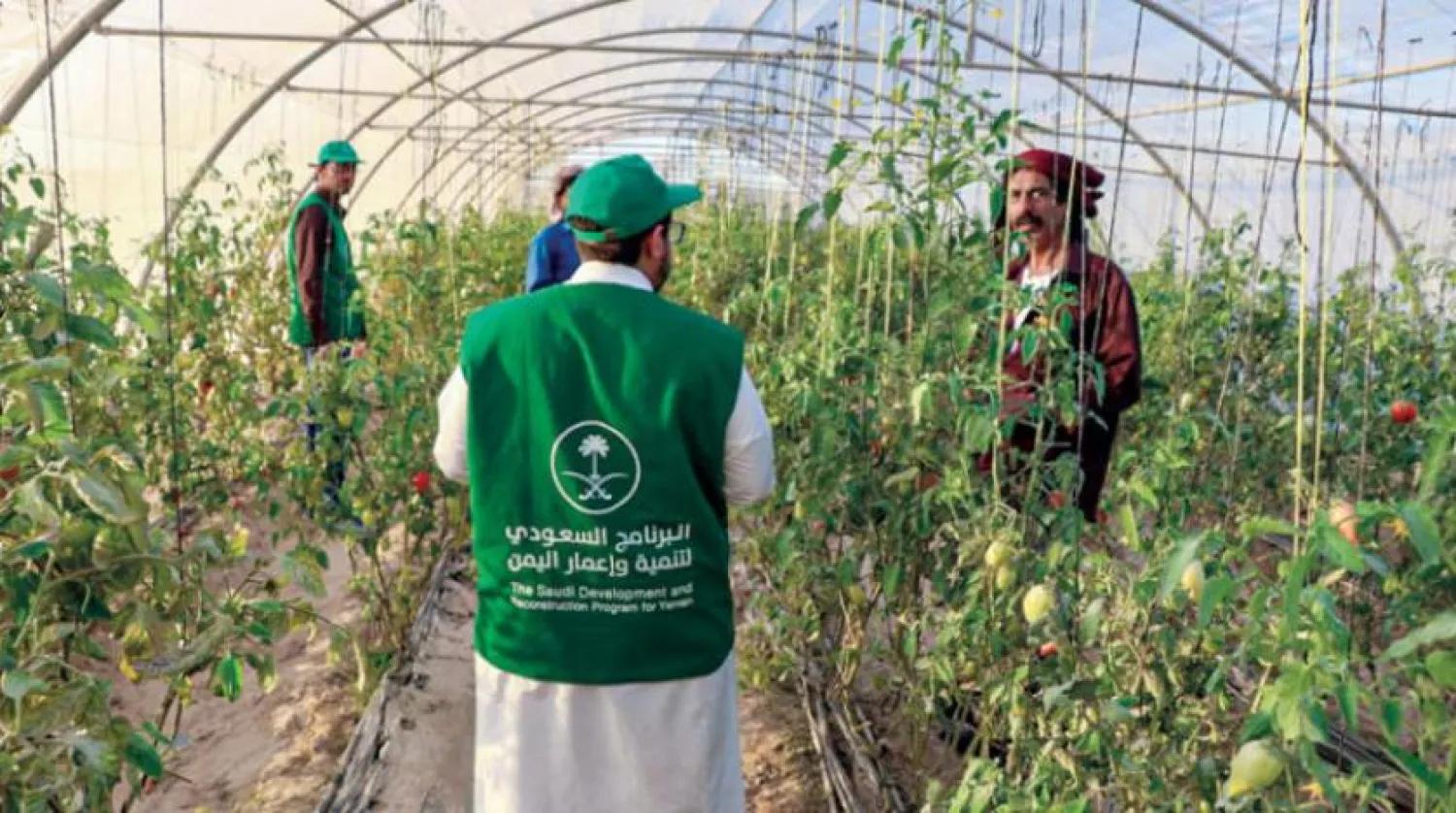 A project supported by the Saudi Development and Reconstruction Program for Yemen in Al-Mahrah Governorate. (Asharq Al-Awsat)