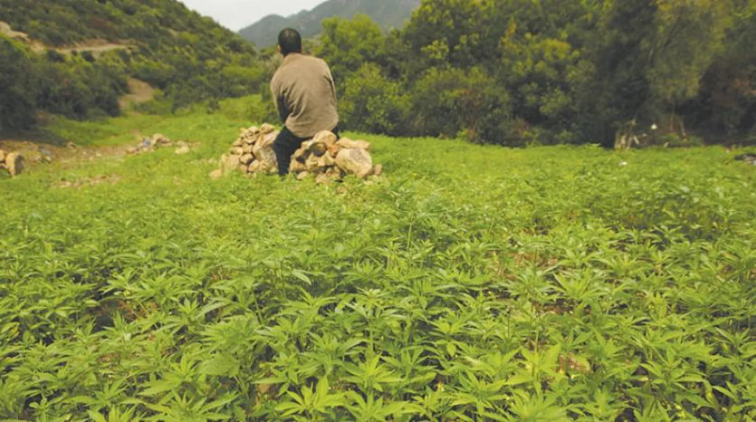  Morocco's economy shrank by 6.3 percent in 2020, led by the agricultural sector (Reuters) 