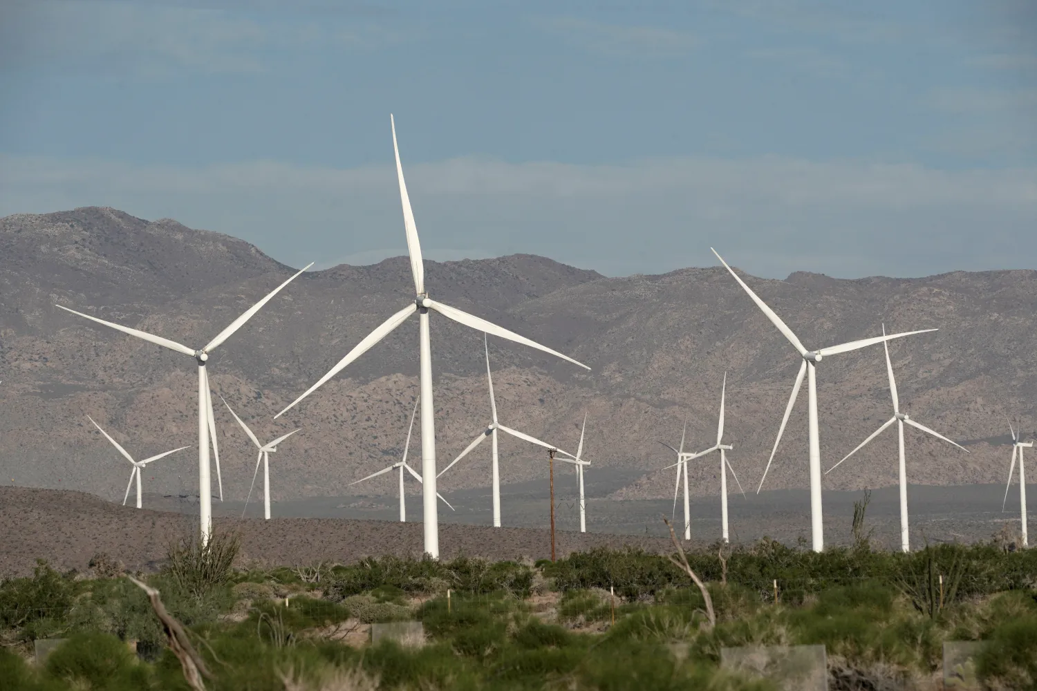 Power-generating Siemens 2.37 megawatt (MW) wind turbines are seen at the Ocotillo Wind Energy Facility California, US, May 29, 2020. REUTERS/Bing Guan/File Photo/File Photo