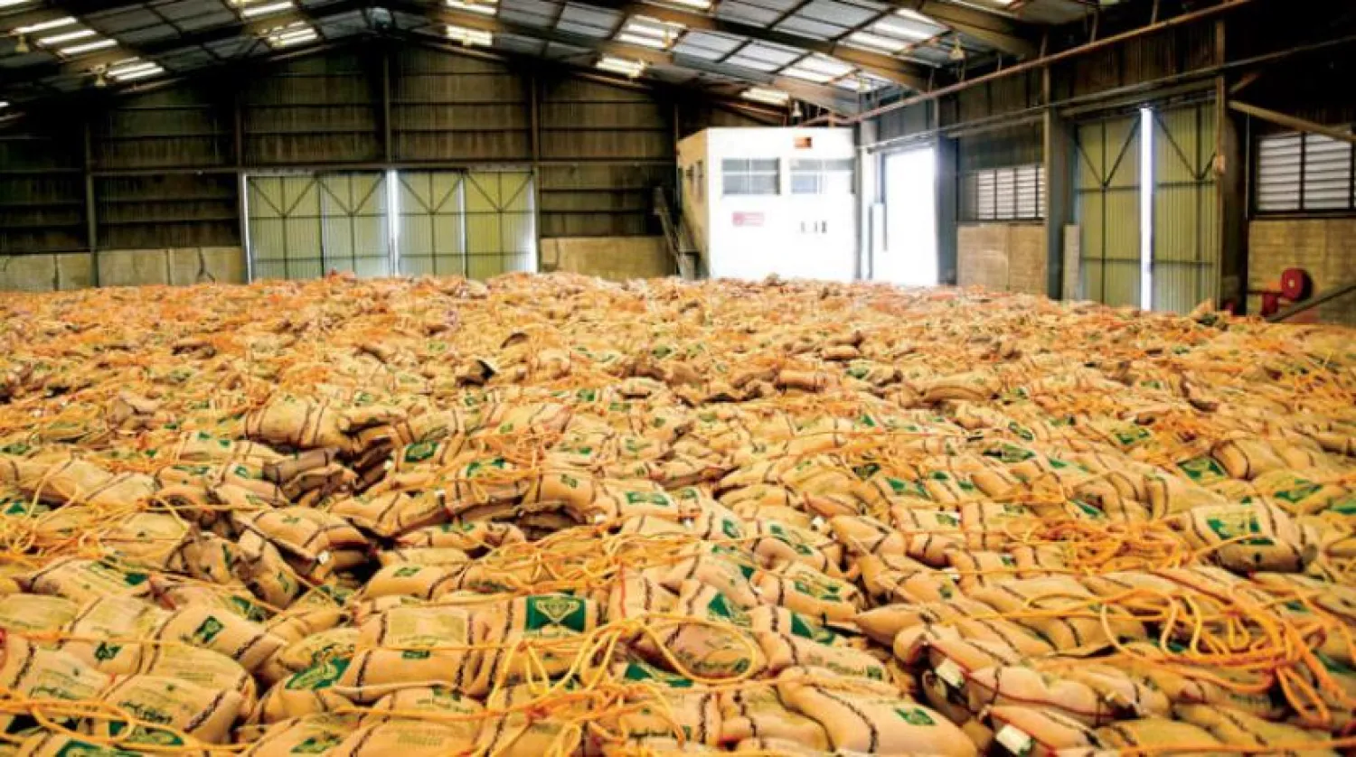 Saudi Arabia seeks to enhance sources of food security and benefit from external agriculture (Asharq Al-Awsat)