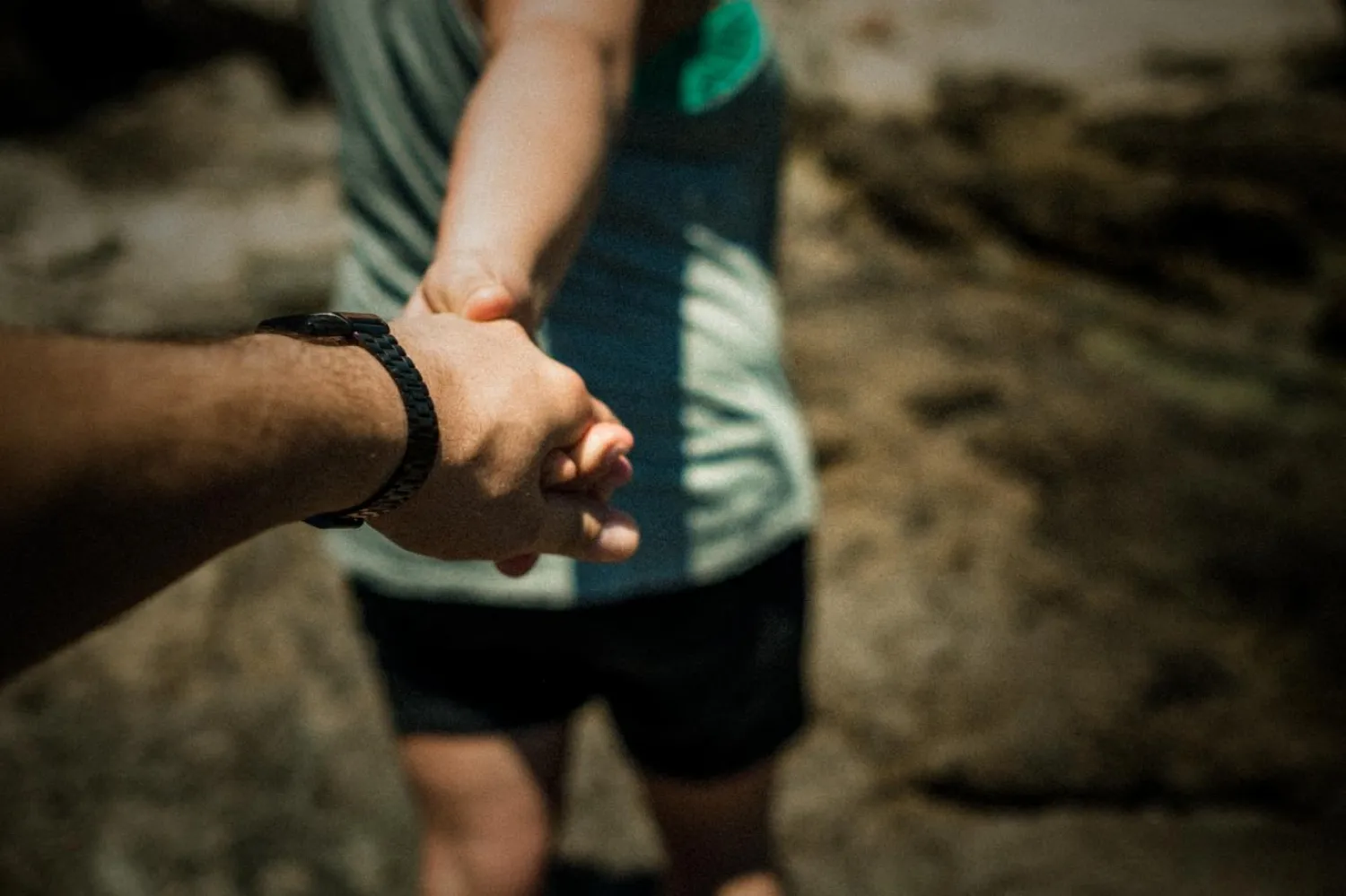 Olay, Kerela eyaletine bağlı Palakkad şehrinde yaşandı (Unsplash)