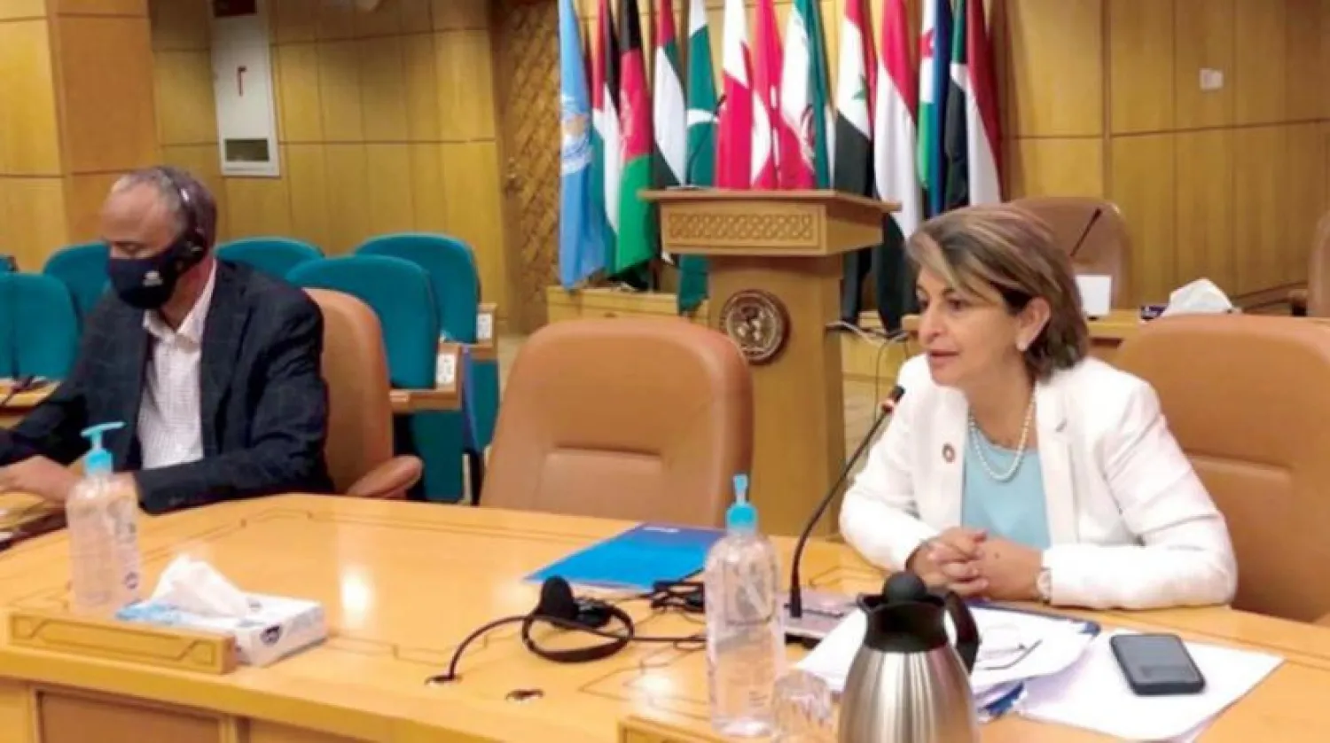 WHO Programlar Bölüm Direktörü Dr. Rana Hajjeh dün basın konferansında konuşurken