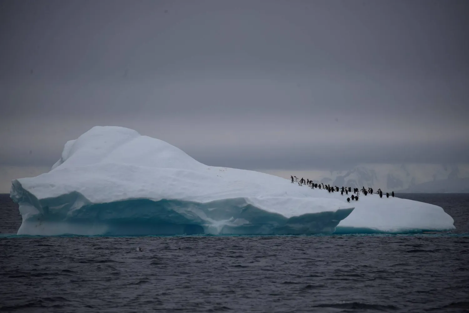 Study: Pacific Islanders Likely Found Antarctica First