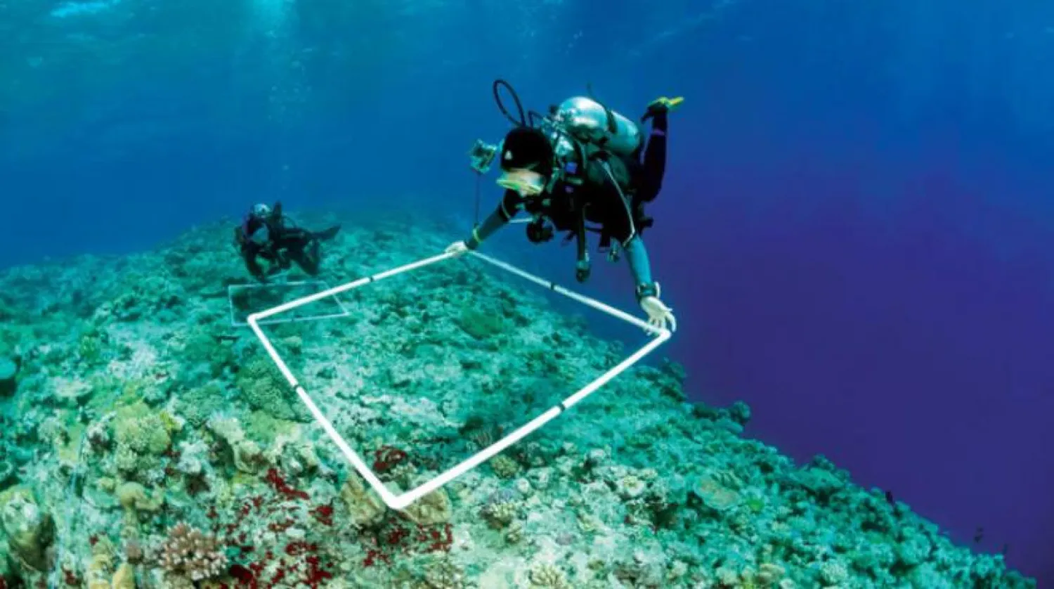 The project aims to map coral reefs around the world.