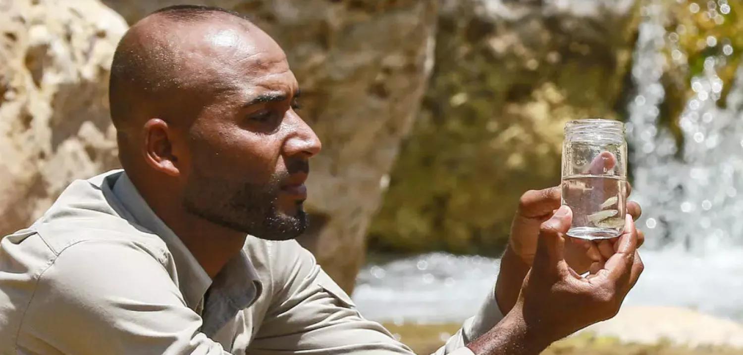Abdullah Oshoush, an environmental researcher at Jordan's Fifa Nature Reserve, holds specimens of the endangered Dead Sea toothcarp. AFP