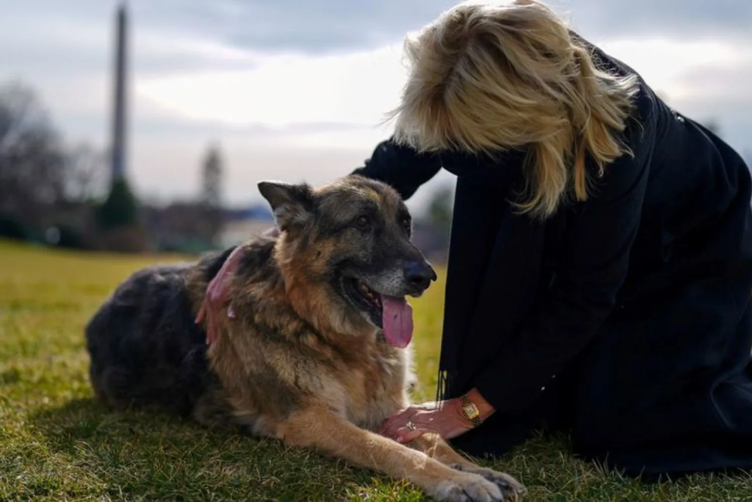US First Lady Jill Biden pets one of the family dogs, Champ, after his arrival from Delaware at the White House in Washington, US January 24, 2021. (Reuters)