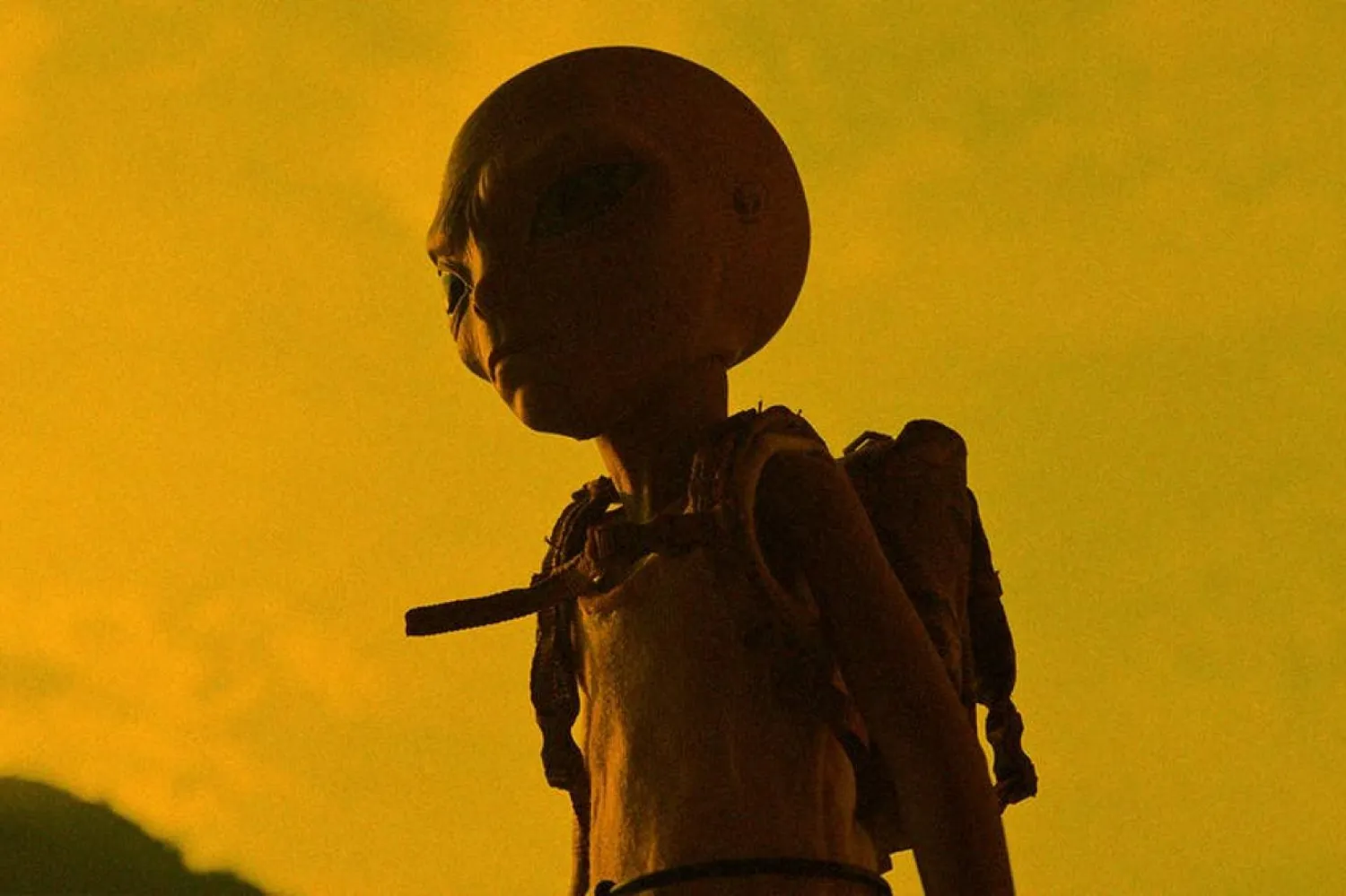 Bilim insanı "Uzaylılar geldiğinde küçük, yeşil Marslılarla karşılaşmayacağız" diyor (Pixabay)