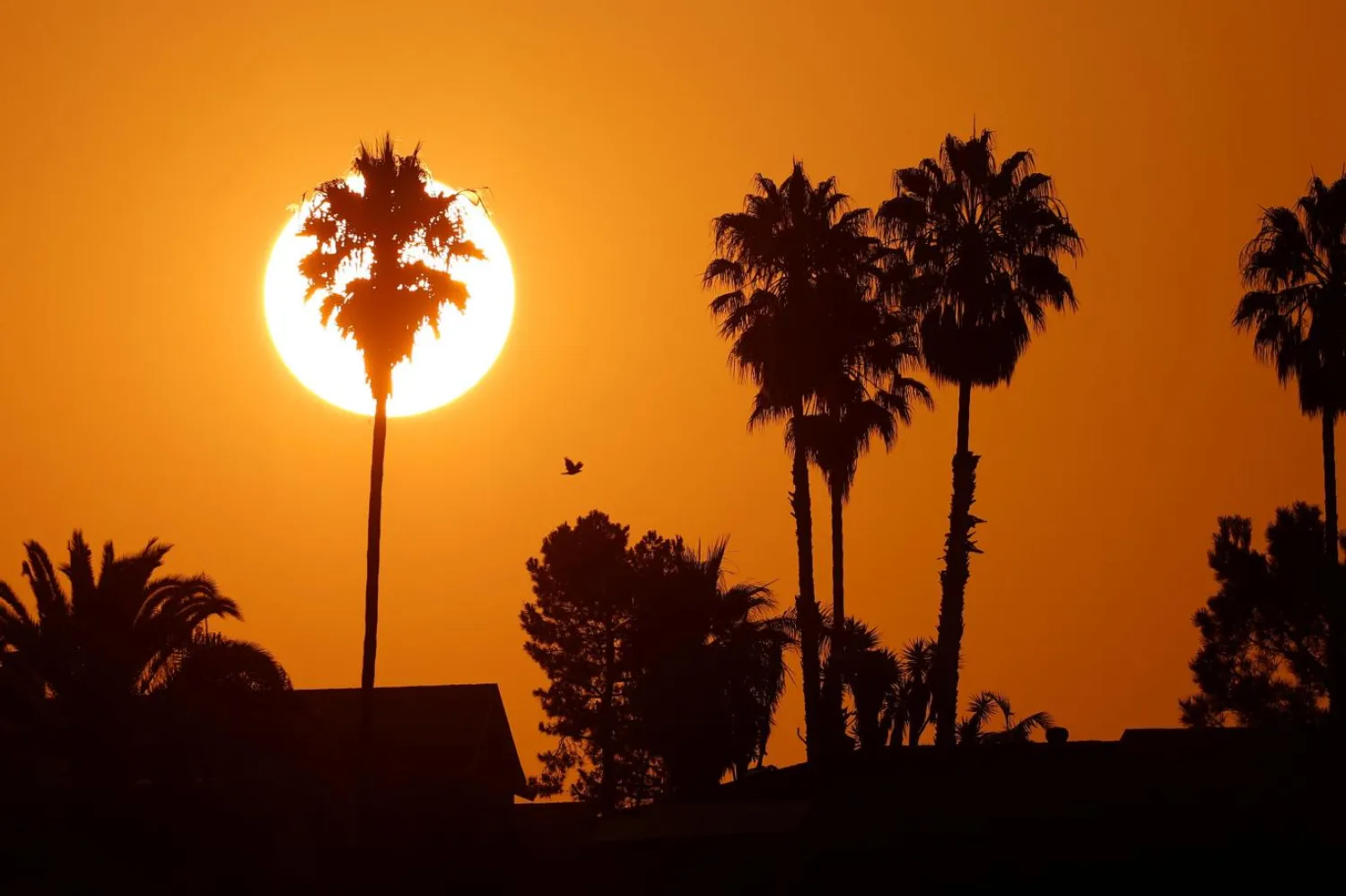 Kaliforniya'da güneşin doğuşu (Reuters)
