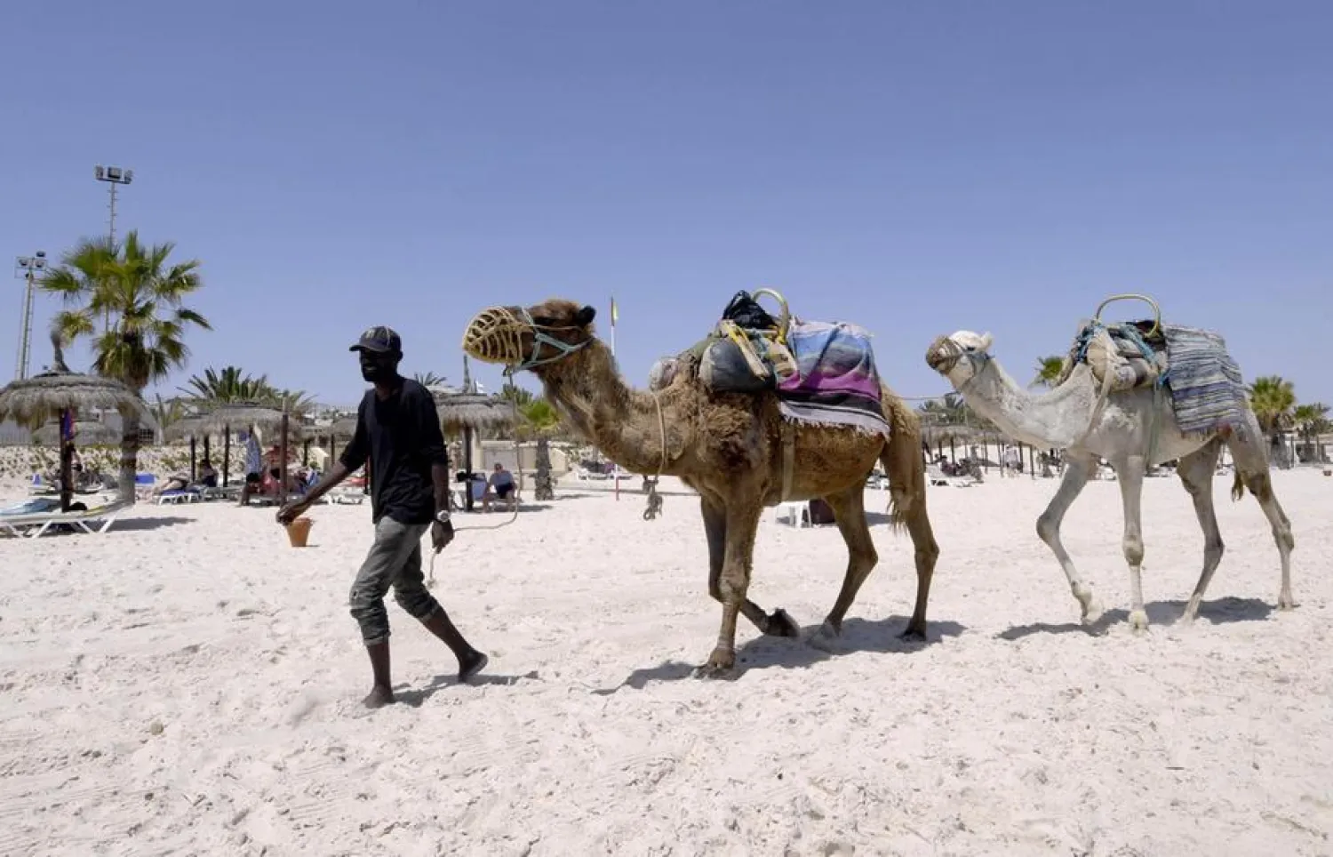 A man and his camels on the beach at the Tunisian Mediterranean resort of Sousse. (AFP)