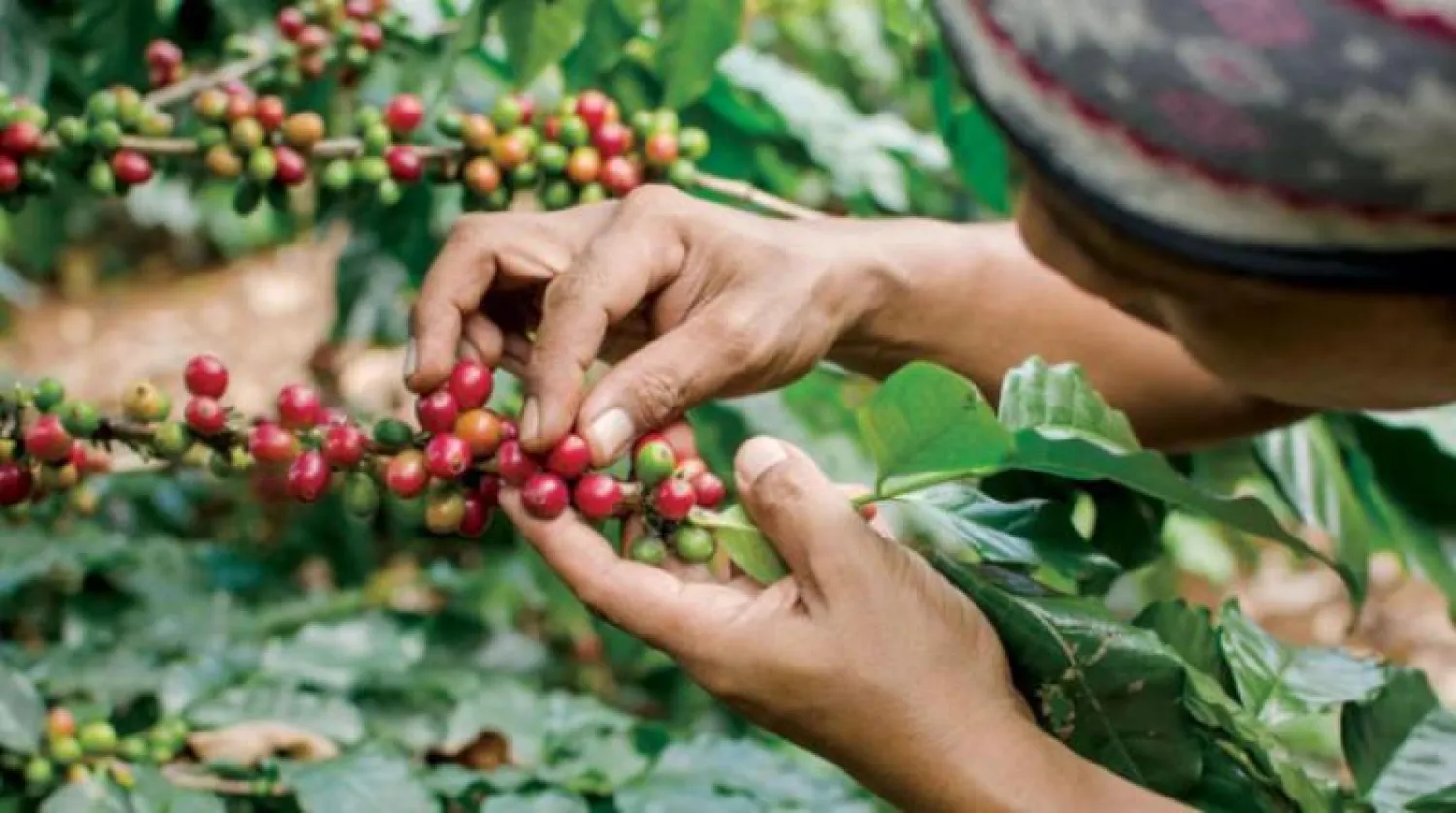 «تواجه فخ الفقر»... الأمم المتحدة محذرة الدول المعتمدة على تصدير المواد الخام