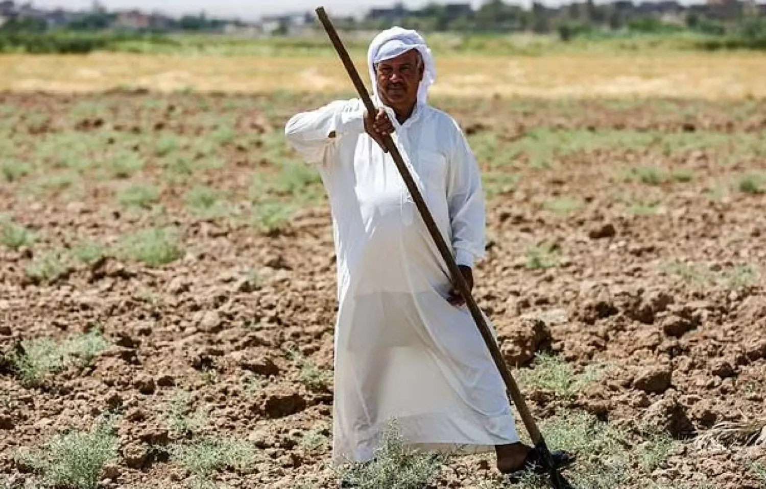 An Iraqi farmer in a parched field in the Khanaqin area, north of Diyala, in eastern Iraq - AFP