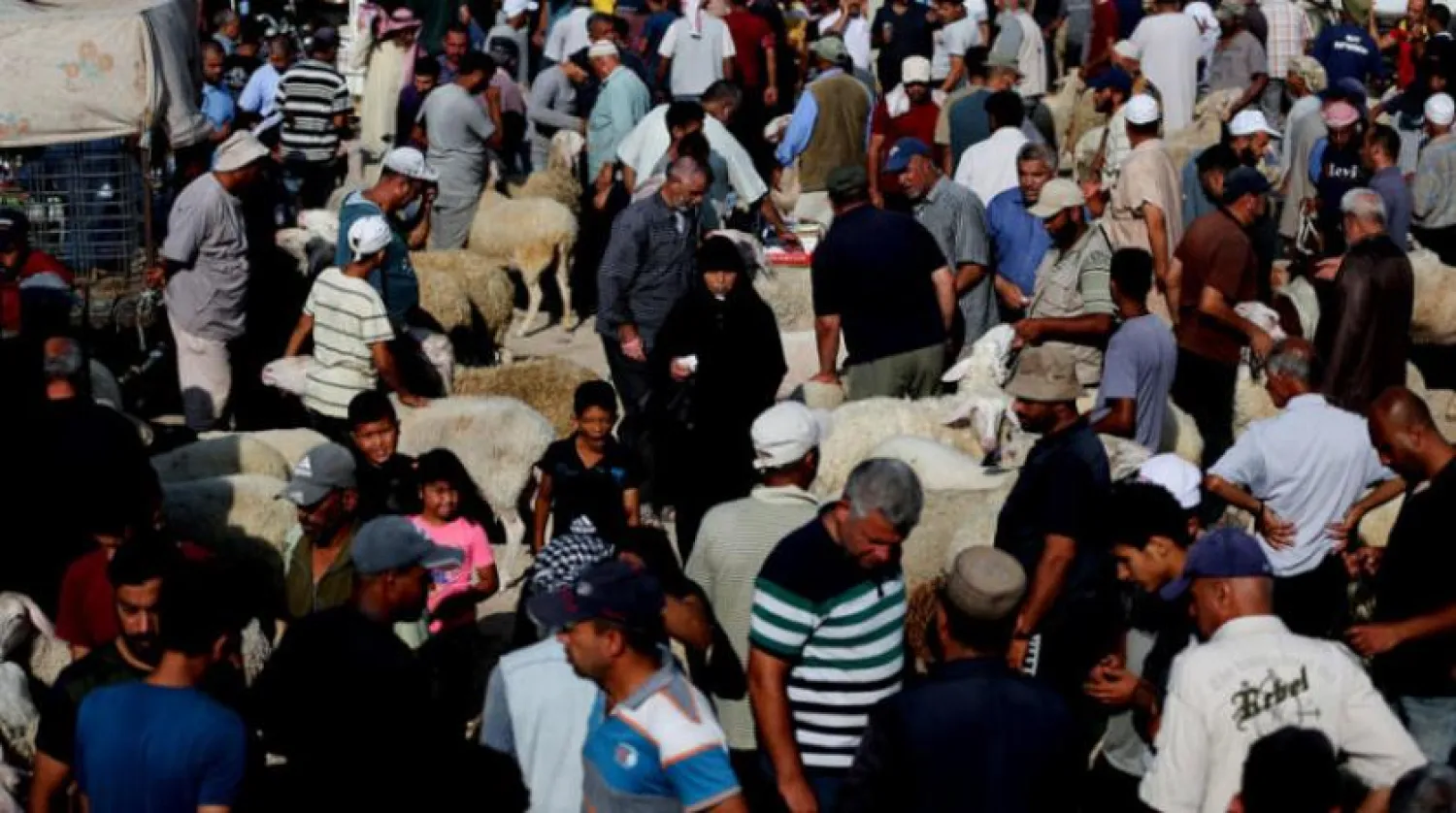 Kurban Bayramı yaklaşırken Han Yunus'ta kurulan hayvan pazarı (Reuters)