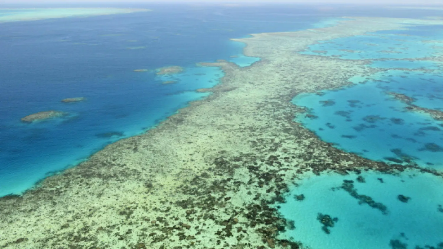 The Great Barrier Reef. Credit: AP Photo
