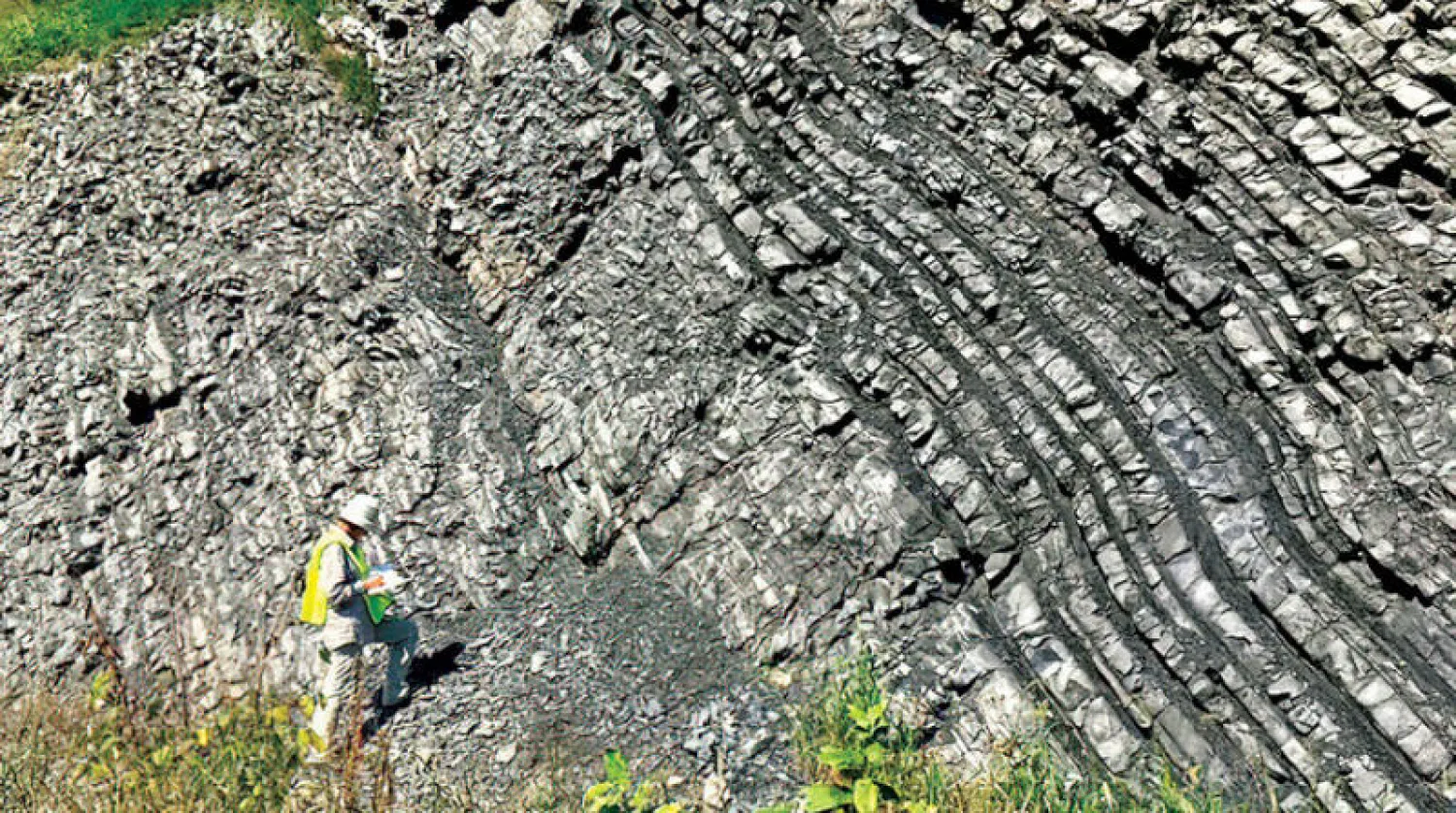 أحد أعضاء الفريق البحثي في عمل ميداني لجمع العينات (الفريق البحثي)