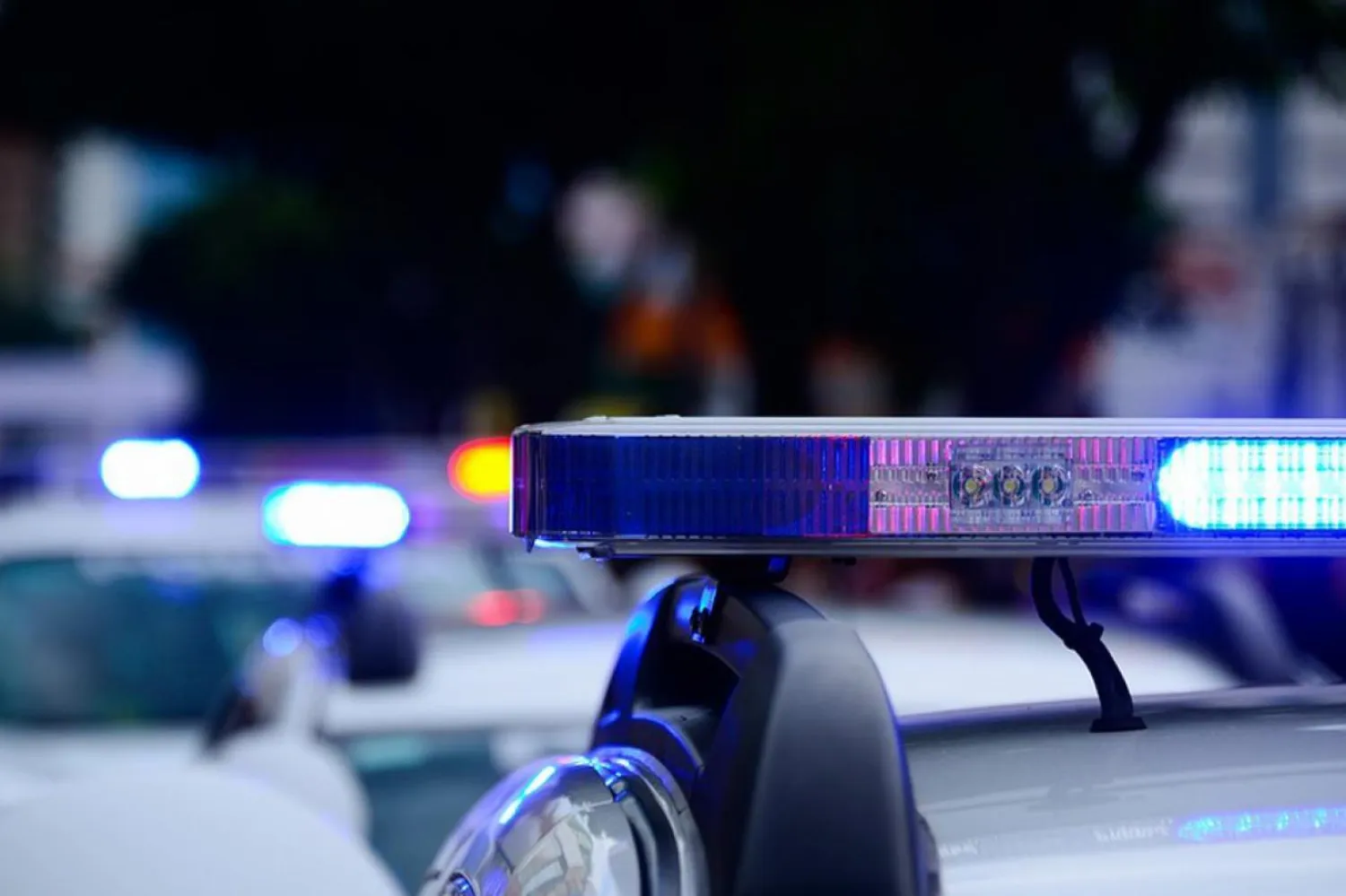 Polislerin elinden kaçmayı başaran hırsızın nerede olduğu henüz tespit edilemedi. (Pixabay)