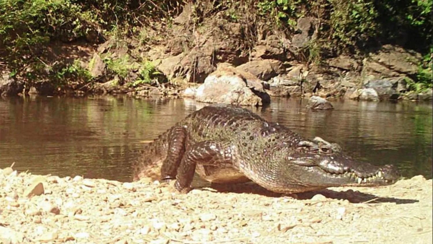 The vast Kaeng Krachan forest complex in Thailand has been granted UNESCO World Heritage status despite concerns about human rights violations in the area Handout Kaeng Krachan National Park/AFP/File
