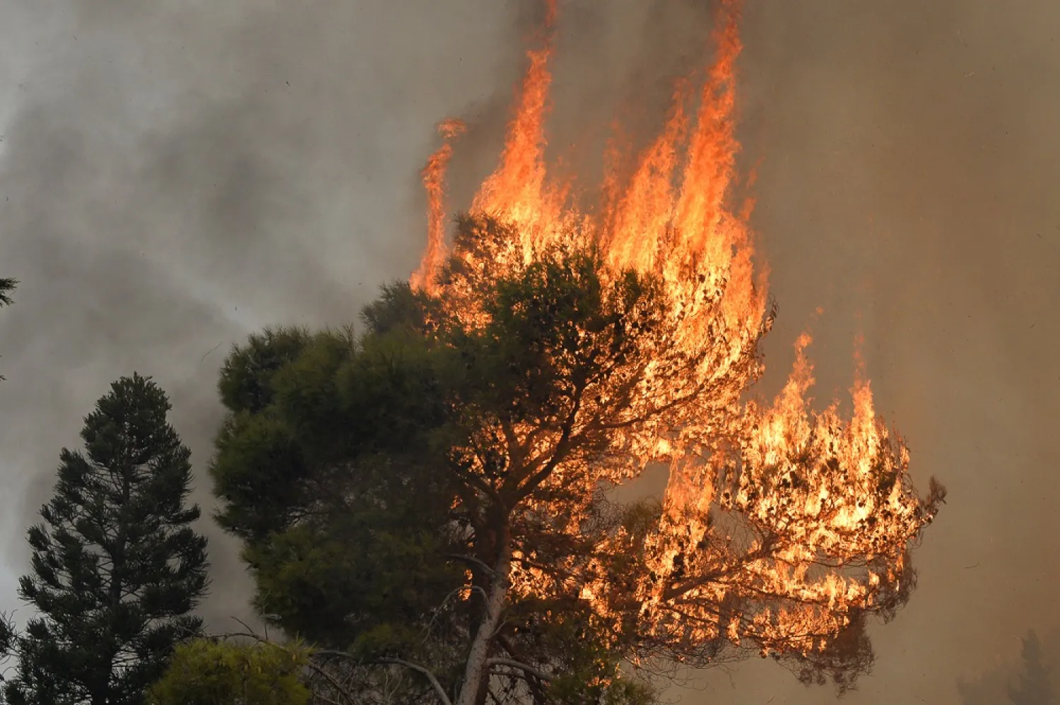 In the last two years, hundreds of fires have swept across Lebanon and the coastal highland regions of neighboring Syria during summer heat waves. (EPA file photo)