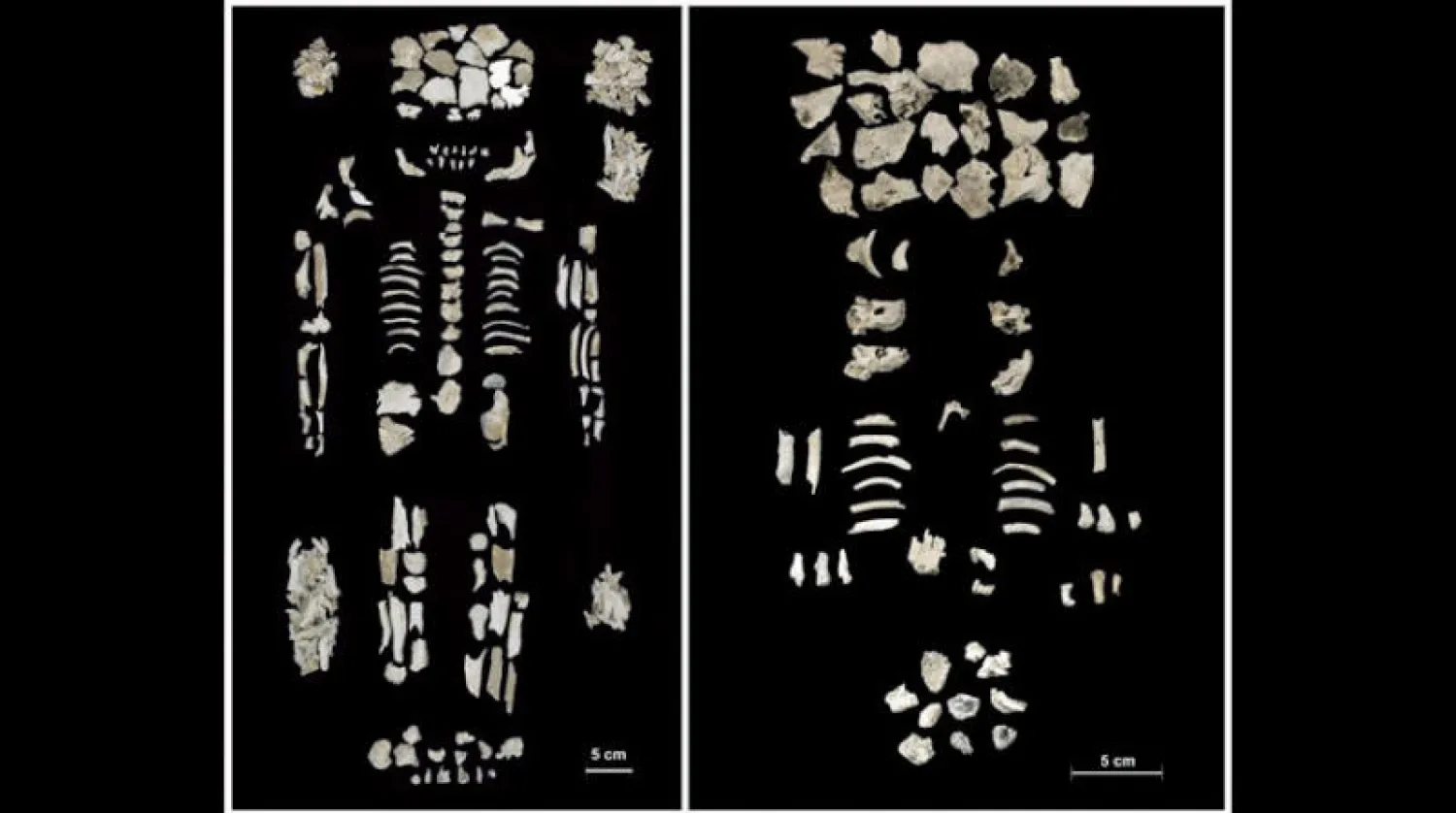 بقايا المرأة (على اليسار) والجنين التوأم (على اليمين)
