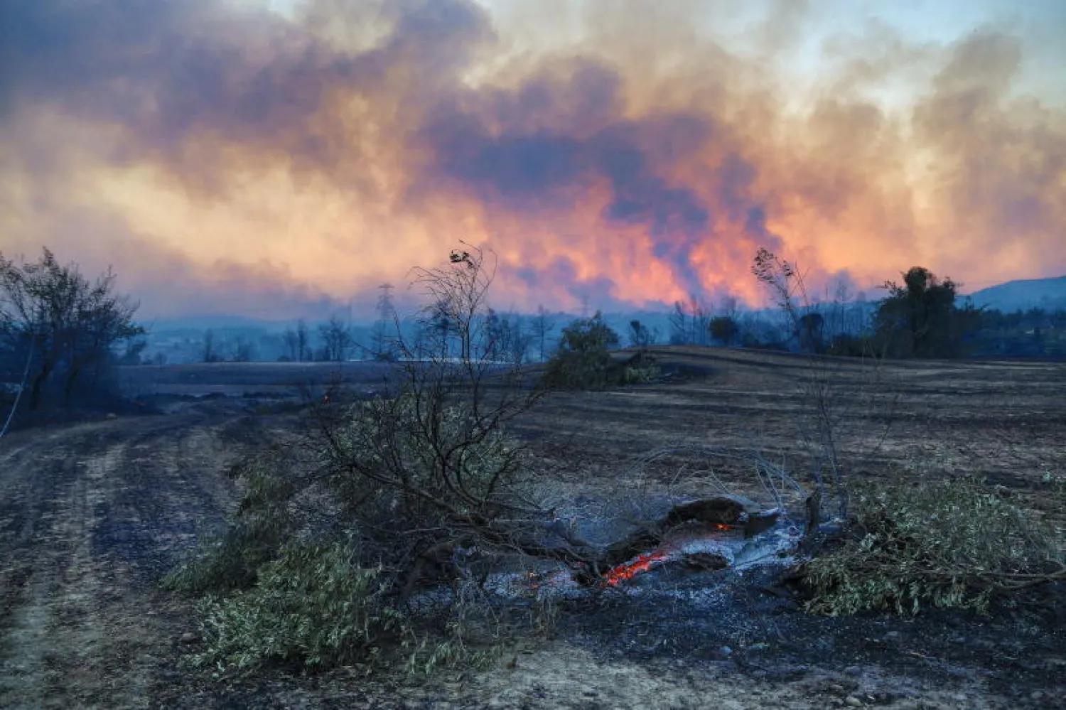 اندلع 41 حريق غابات في 13 ولاية تركية (رويترز)