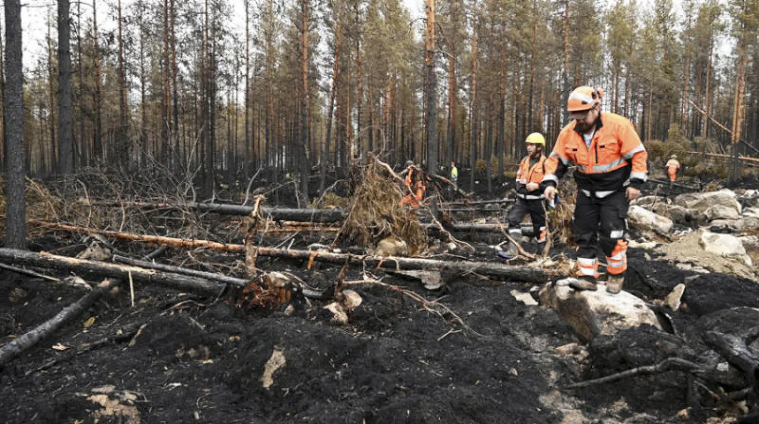رجال الإطفاء يحاولون إخماد الحرائق في إحدى الغابات بفنلندا (إ.ب.أ)