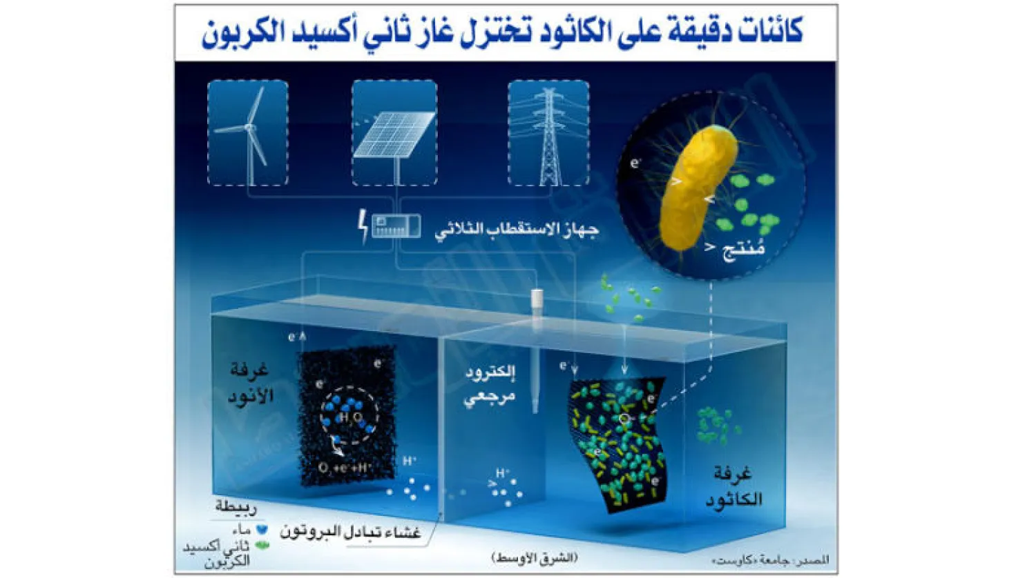 باحثو «كاوست» يطورون أنظمة بكتيرية لإعادة تدوير ثاني أكسيد الكربون