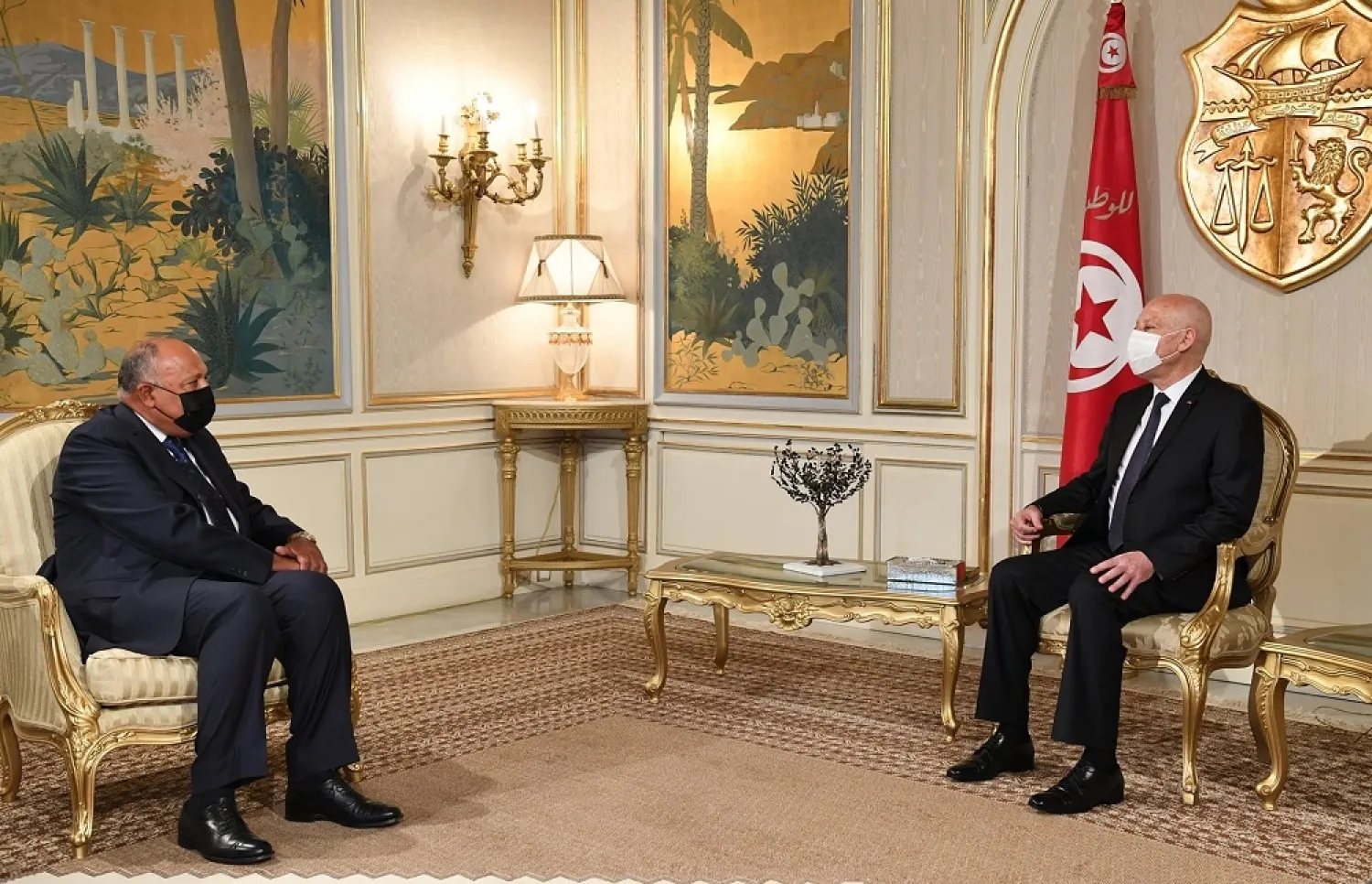 Tunisian President Saied meets with Egyptian Foreign Minister Sameh Shoukry on Tuesday. (Tunisian Presidency)