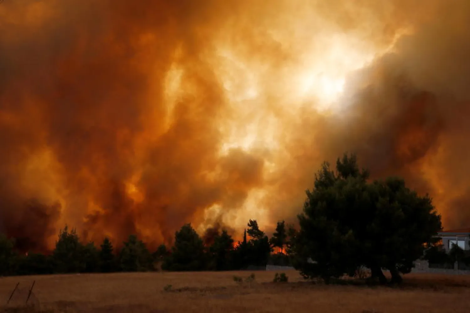 حريق هائل يلتهم غابة في شمال أثينا (رويترز)