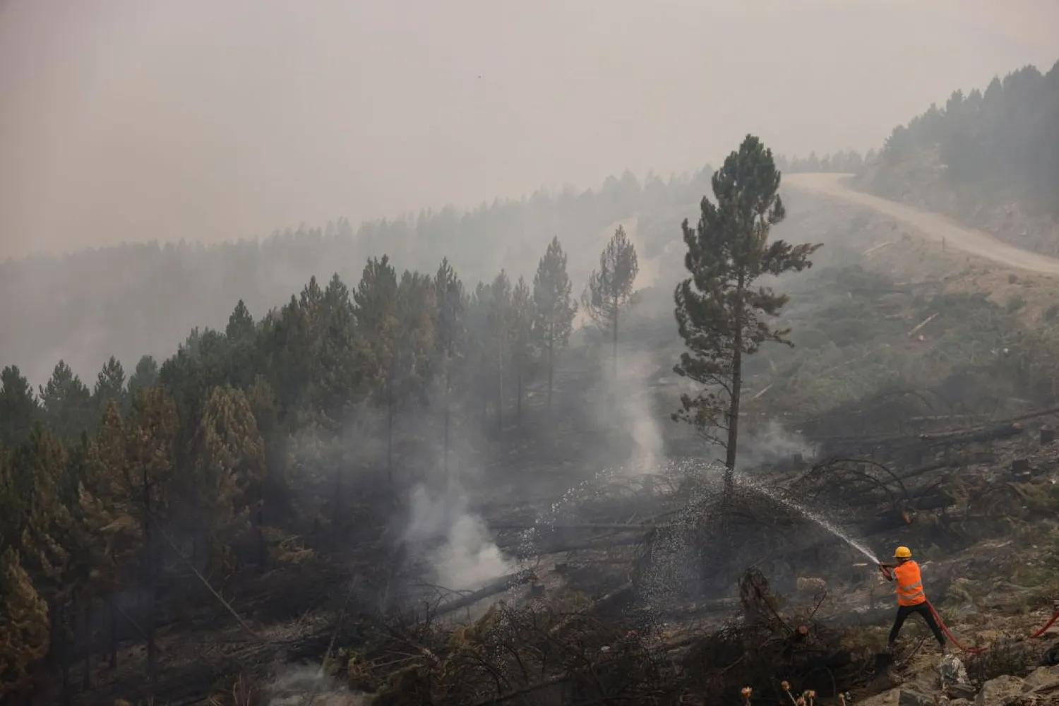 A volunteer from a nearby village sprays water to cool down a recently burnt part of a forest during a wildfire near Kavaklidere a town in Mugla province, Turkey, August 5, 2021. (Reuters)