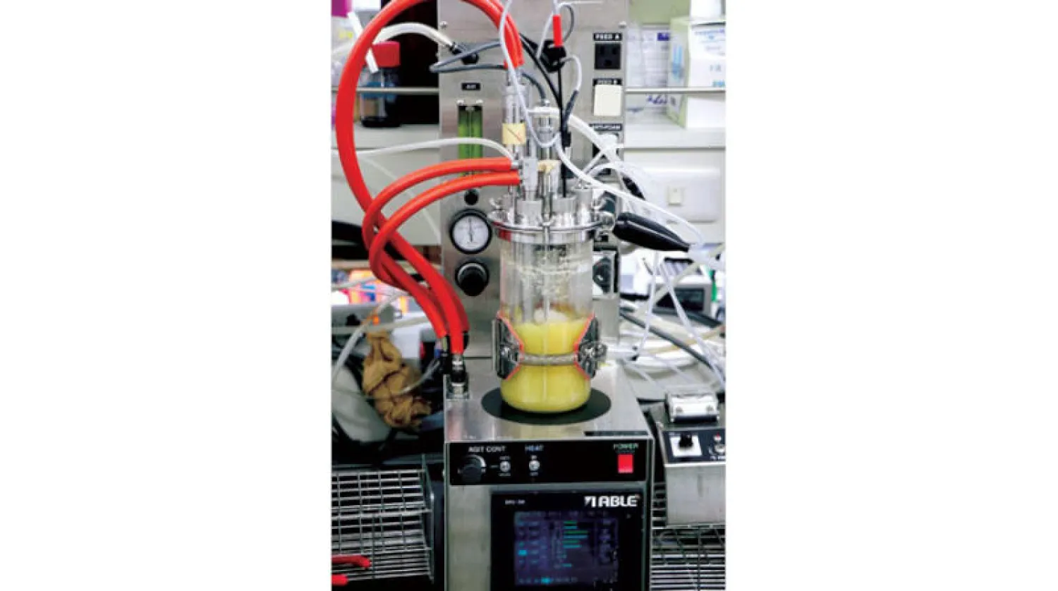 عملية تحويل السكر إلى مادة كيميائية (معهد ريكن)