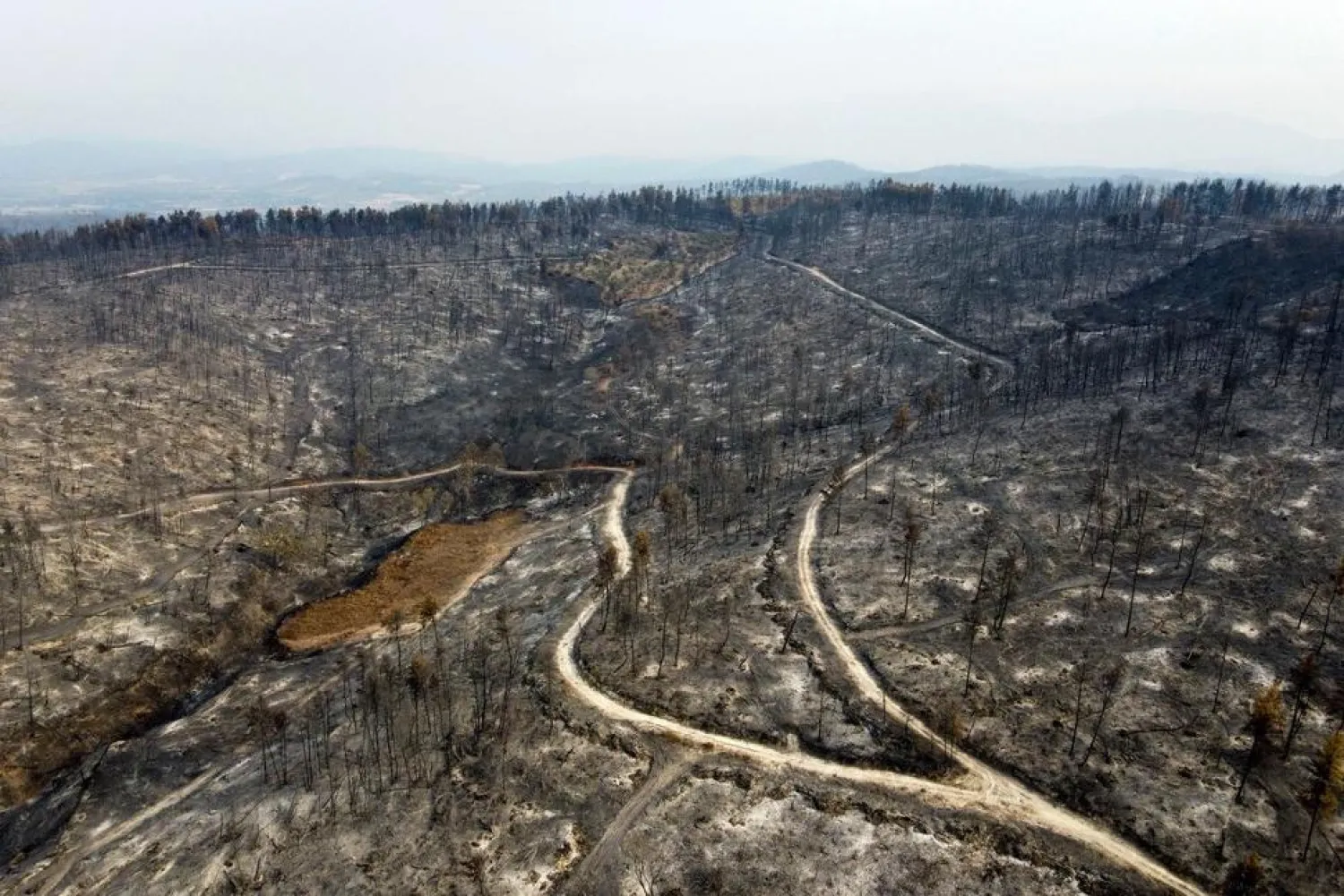 A burnt forest in Agia Anna village on Evia island, about 181 kilometers (113 miles) north of Athens, Greece, Wednesday, Aug. 11, 2021. (AP)