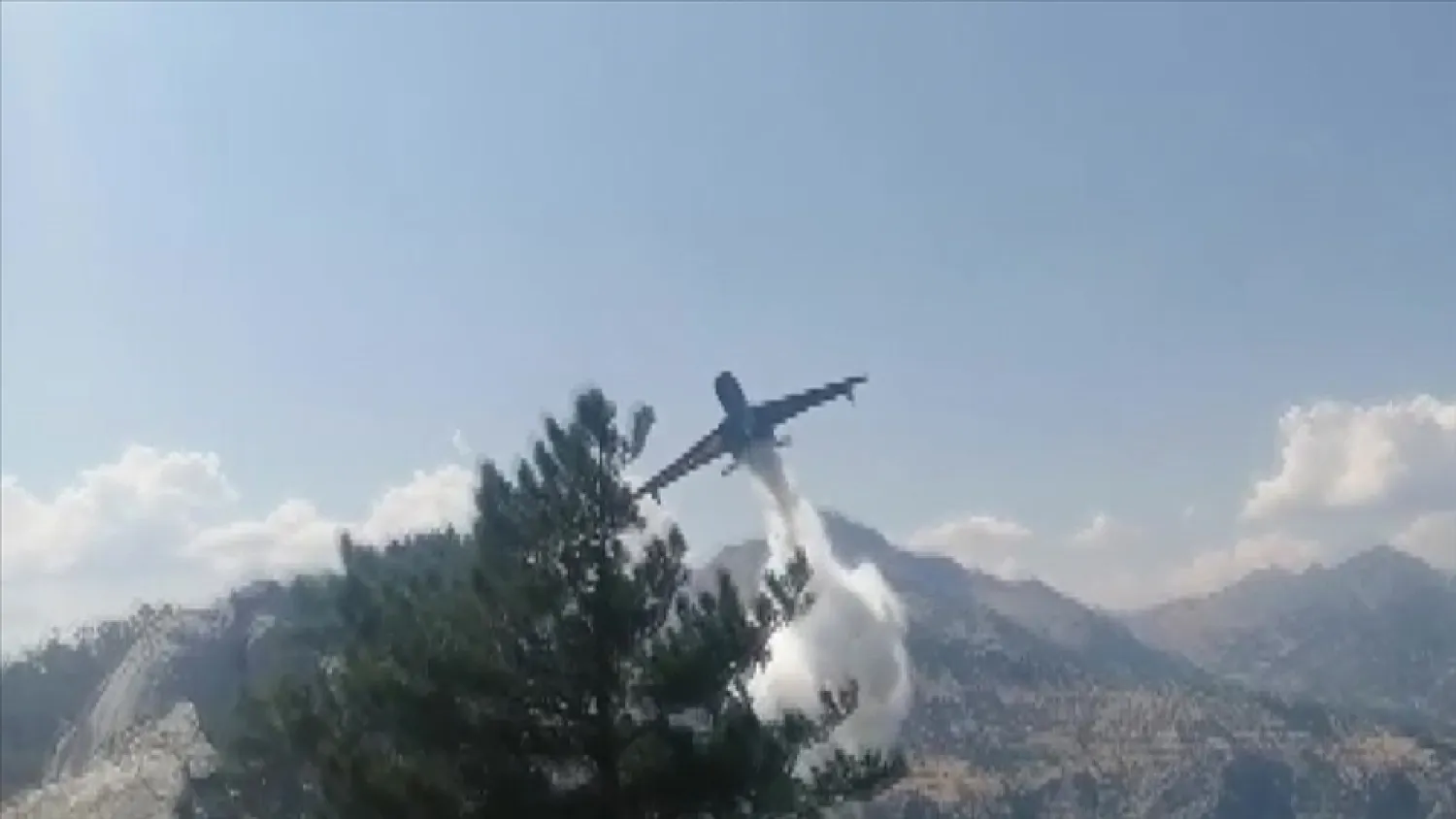 AA