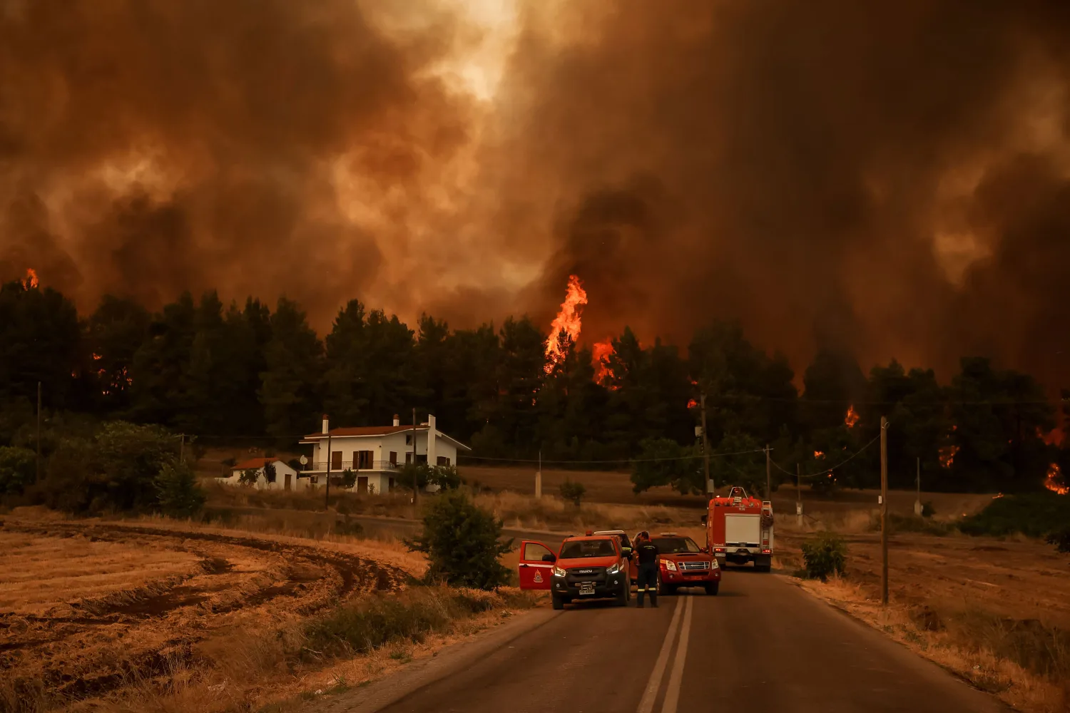 Wildfires have burned uncontrollably on Greece’s Evia island for six days. © Sotiris Dimitropoulos, AFP
