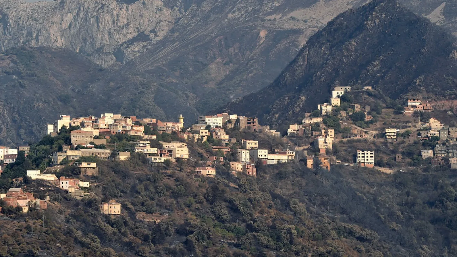 Burnt woodland surrounds an Algerian town, after days of intense fires were put out on Wednesday. (AFP)