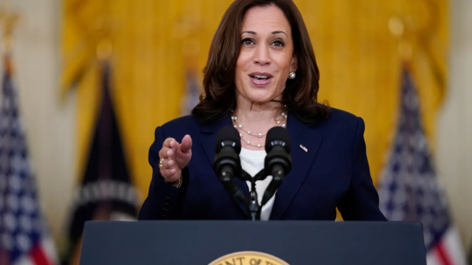 FILE – In this Aug. 10, 2021, file photo, Vice President Kamala Harris speaks from the East Room of the White House in Washington. (AP Photo/Evan Vucci, File)