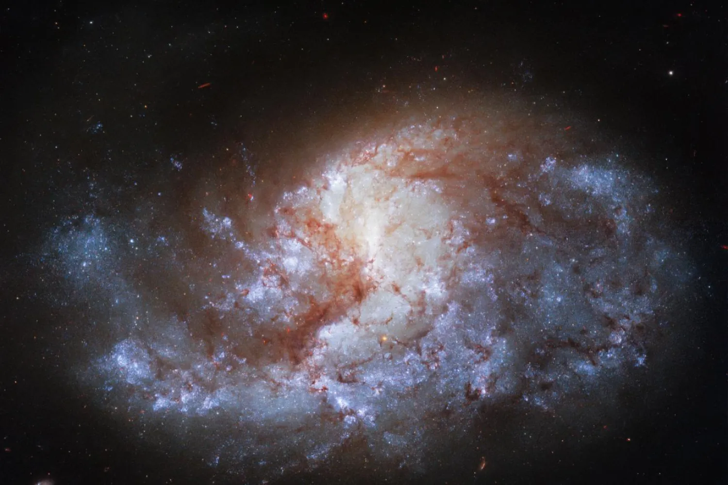 NGC 1385'in diğer adları AGC 22776, ESO 482-16, LEDA 13368 ve IRAS 03353-2439 (NASA)