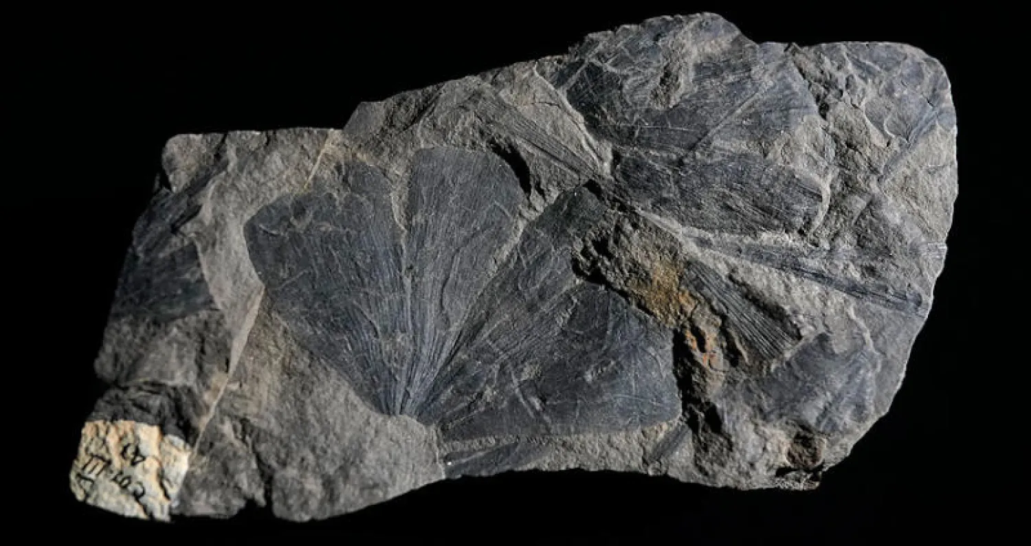 الذكاء الصناعي يمكنه التنبؤ بسلوكيات عناصر صلبة