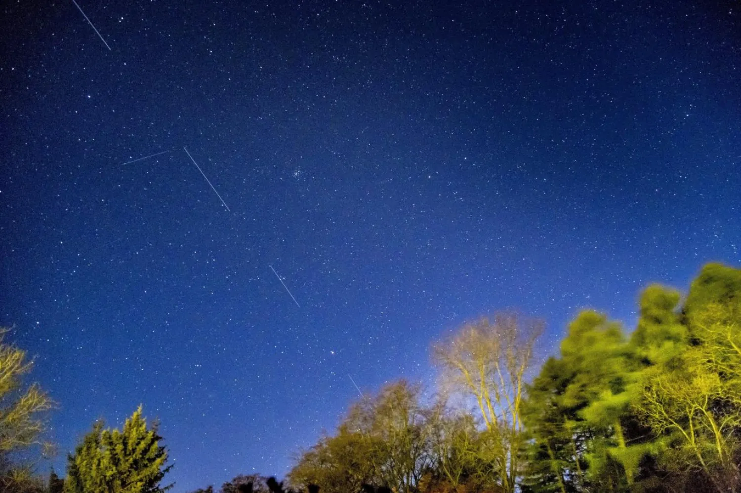 SpaceX, Starlink projesi kapsamında uzaya şimdiye kadar bin 740 uydu yolladı (Reuters)