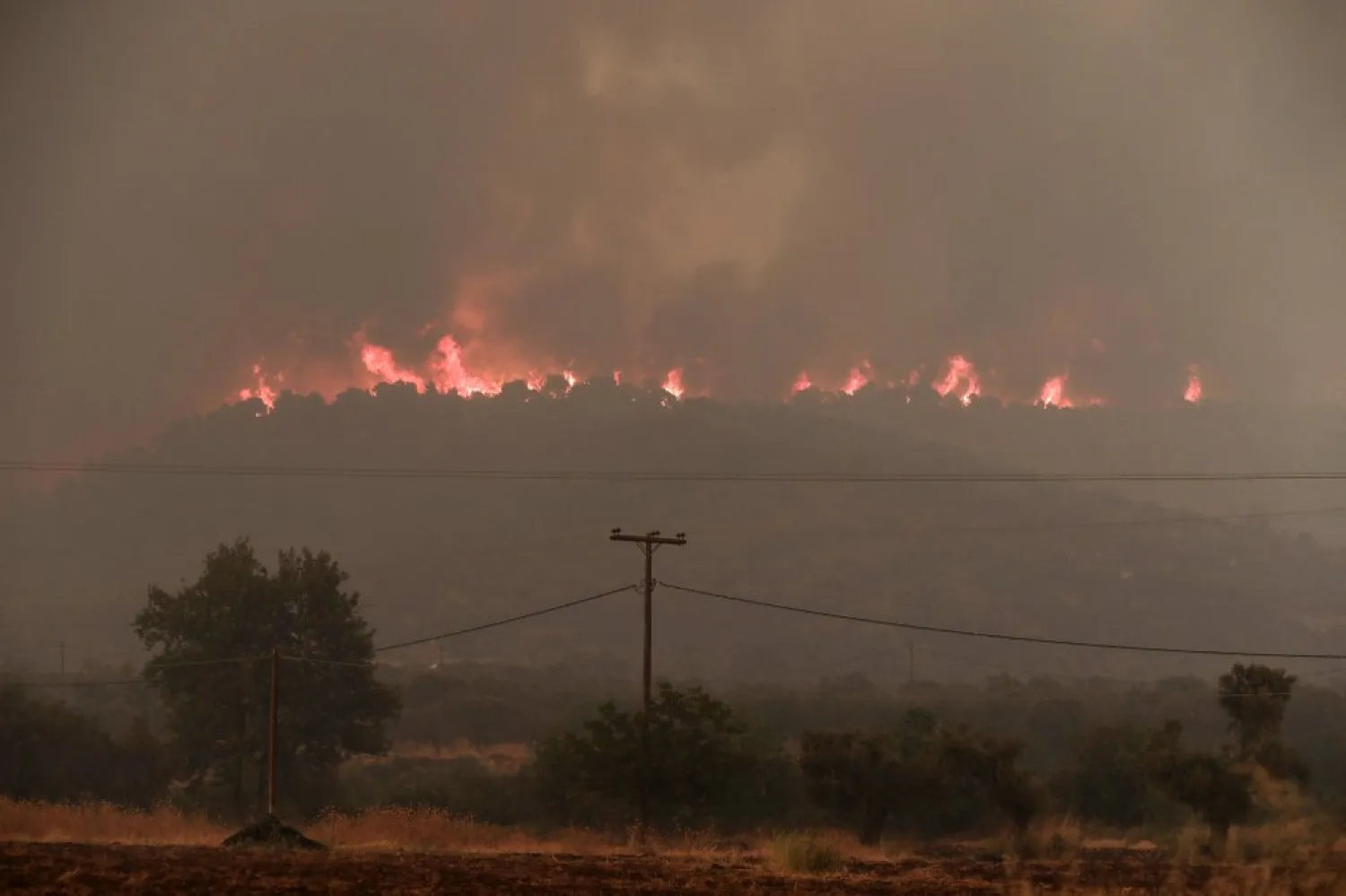 Flames rise from a forest fire at Psachna village on the island of Evia, northeast of Athens, Tuesday, Aug. 13, 2019. (AP Photo/Yorgos Karahalis)
