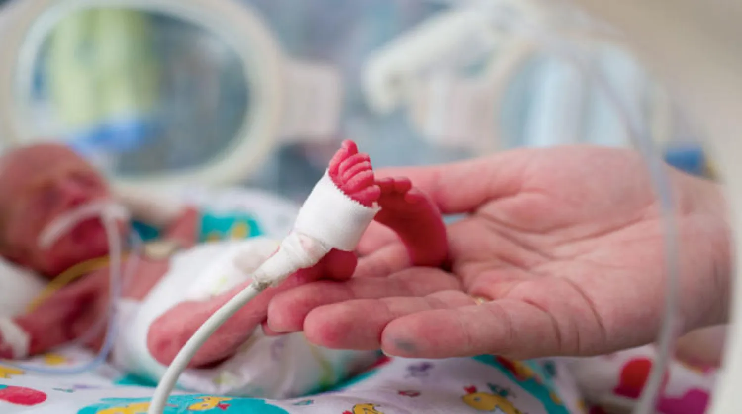 صوت الأم يقلل من آلام الاطفال الرضَّعْ