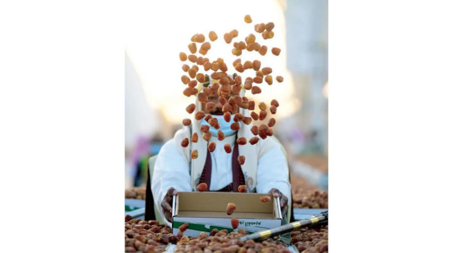 هيئة الدواء والغذاء تشدد على الالتزام بلوائح التصدير... وفي الصورة جانب من مهرجانات التمور المنتعشة حالياً في السعودية (الشرق الأوسط)