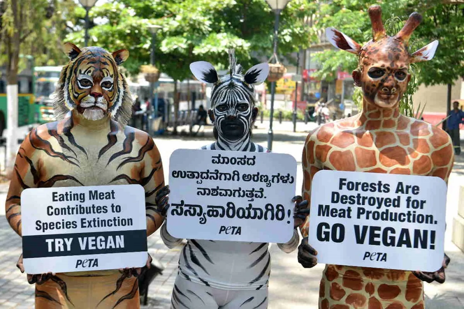 Indian animal rights activists with the group PETA (People for the Ethical Treatment of Animals) pose with placards during a rally urging the public to save forests by going vegan in Bangalore on March 19, 2019. (AFP)