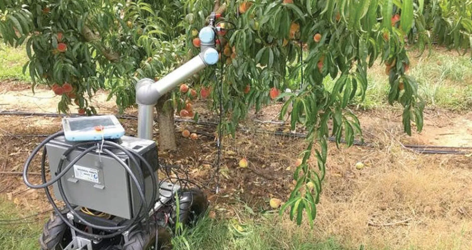 الروبوت يعتمد على أشعة الليزر لقطف الثمار (جورجيا للأبحاث التقنية)