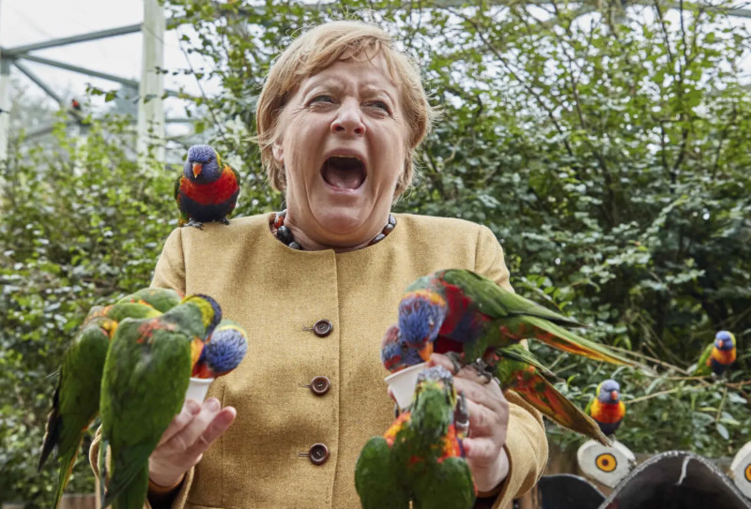 المستشارة الألمانية أنجيلا ميركل تطعم طيوراً في متنزه مارلو أمس (أ.ب)