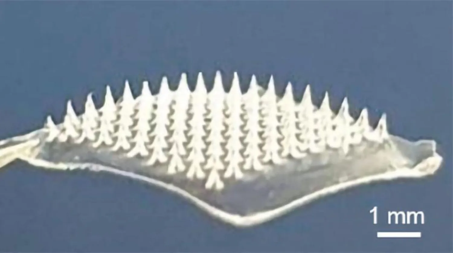 Cilt bandı, aşı bileşenlerini taşıyan mikroiğneler içeriyor.