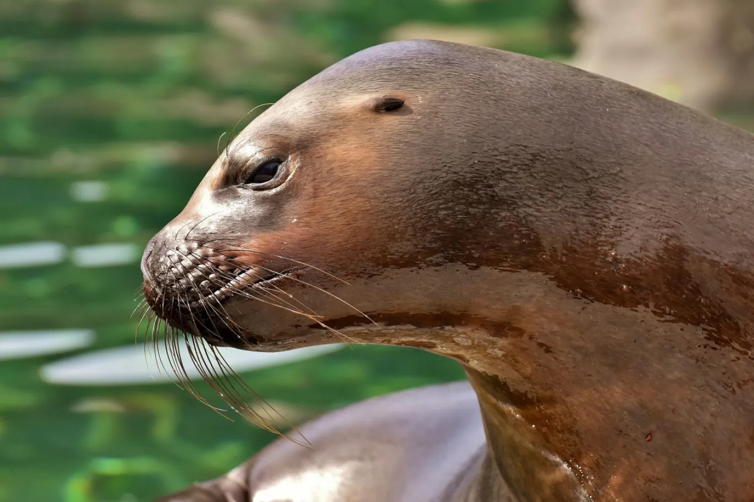 Temsili fotoğraf (Pixabay)