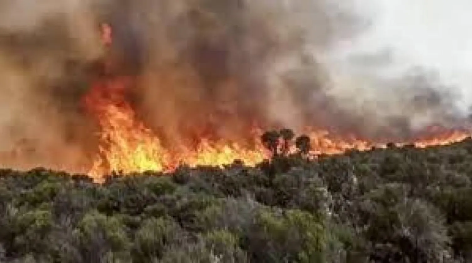 Orman yangınlarını söndürmek için özel bir top geliştirildi 