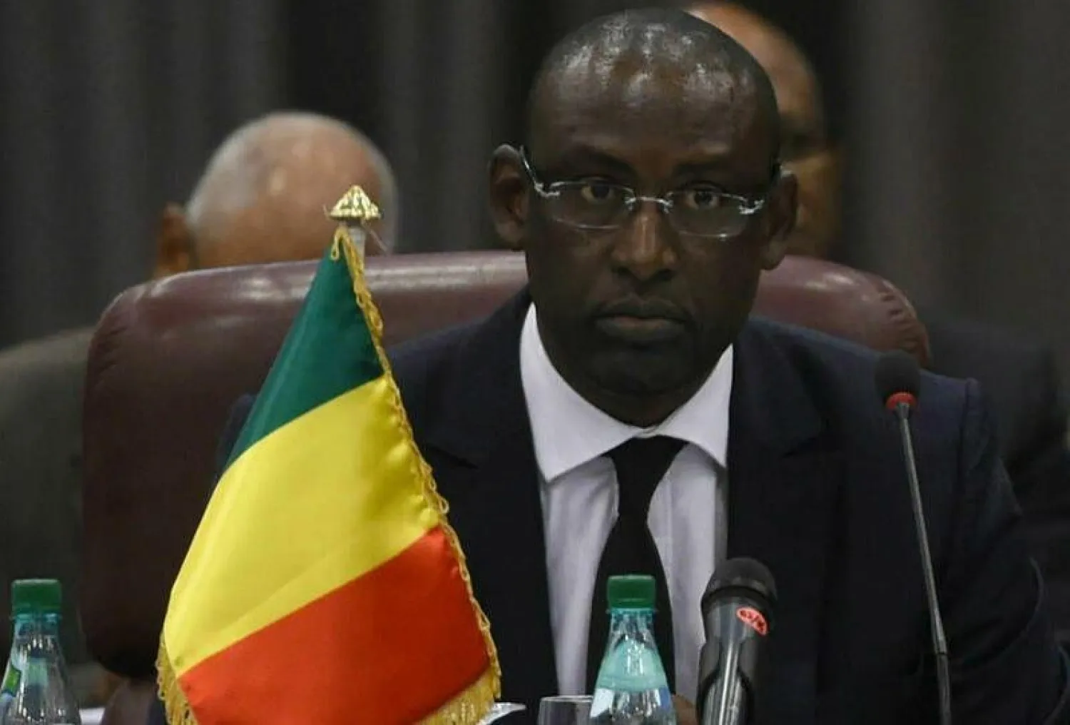 وزير الخارجية المالي عبد الله ديوب (أرشيفية - أ.ف.ب)