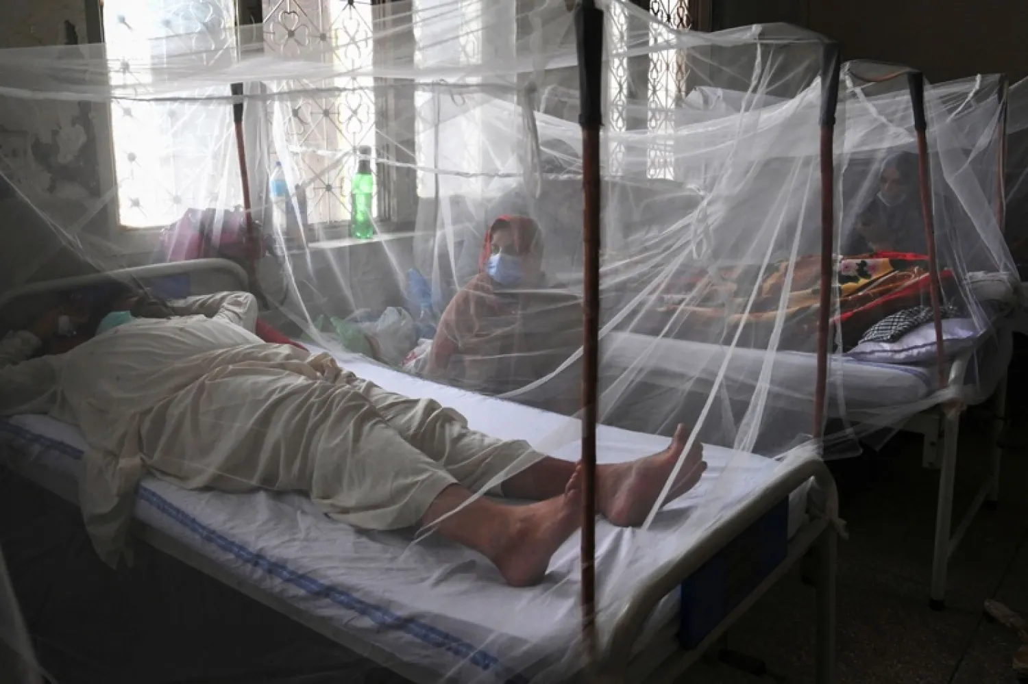 Dengue can cause intense flu-like symptoms that earned it the nickname 'breakbone fever' (AFP/Arif ALI)

