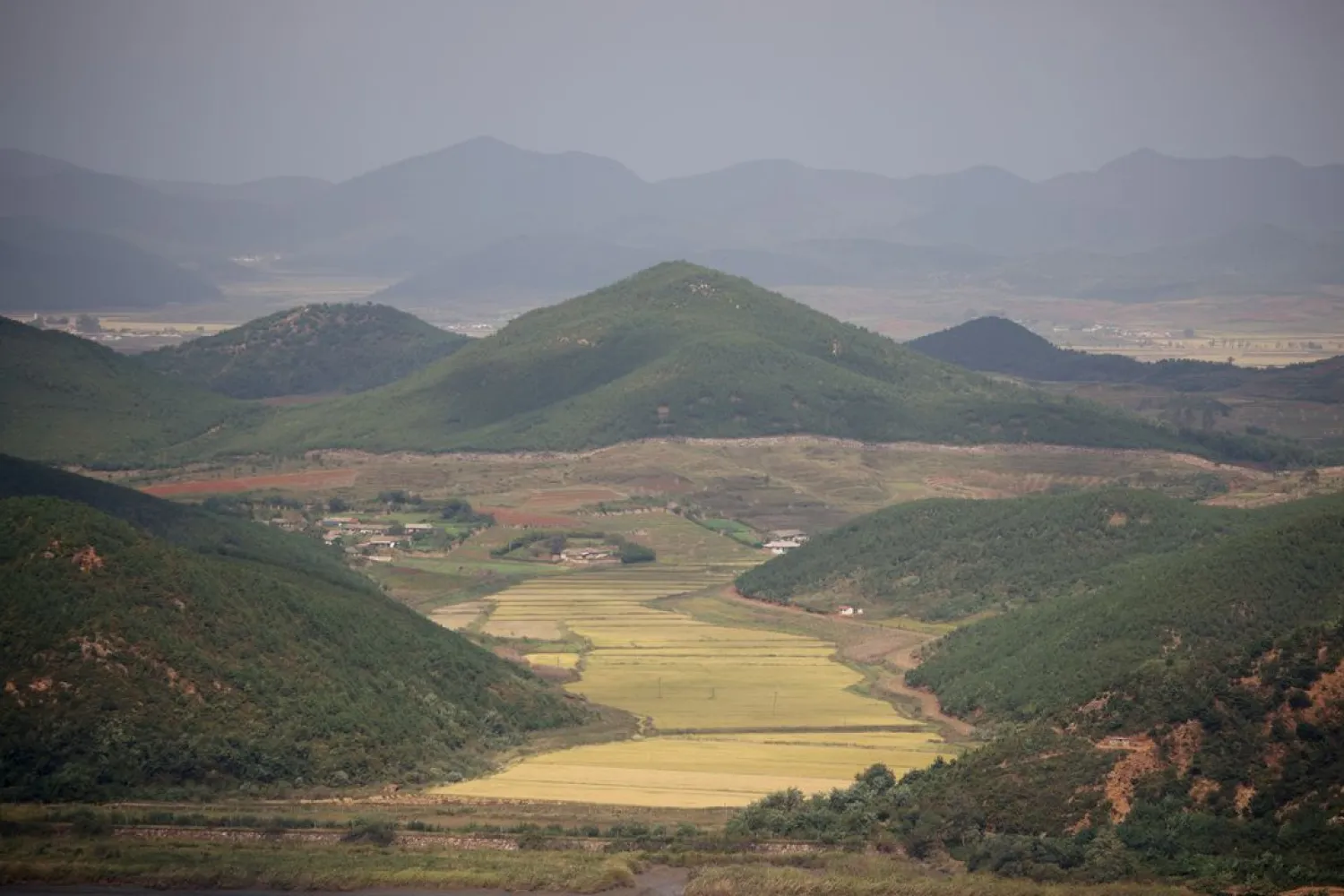 A general view of a rice field in North Korea's propaganda village Kaepoong in this picture taken from the top of the Aegibong Peak Observatory, south of the demilitarized zone (DMZ), separating the two Koreas in Gimpo, South Korea, October 5, 2021. (Reuters)